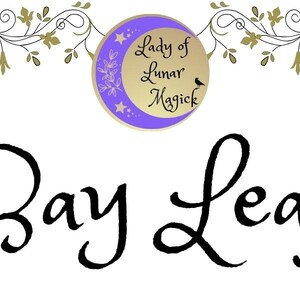 Organic Whole Bay Leaf, Sealed for Maximum Freshness, Assorted Sizes ...