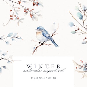 Aquarell Winter Clipart, Winter Vogel Clipart, Aquarell Winter, Winter Botanicals, Greenery für Weihnachtskarten, Winter Blumen Clipart