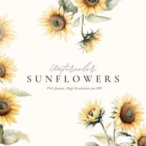 Clipart tournesol aquarelle, mariage graphique aquarelle, clipart floral aquarelle, clipart prairie tournesol, clipart printemps aquarelle