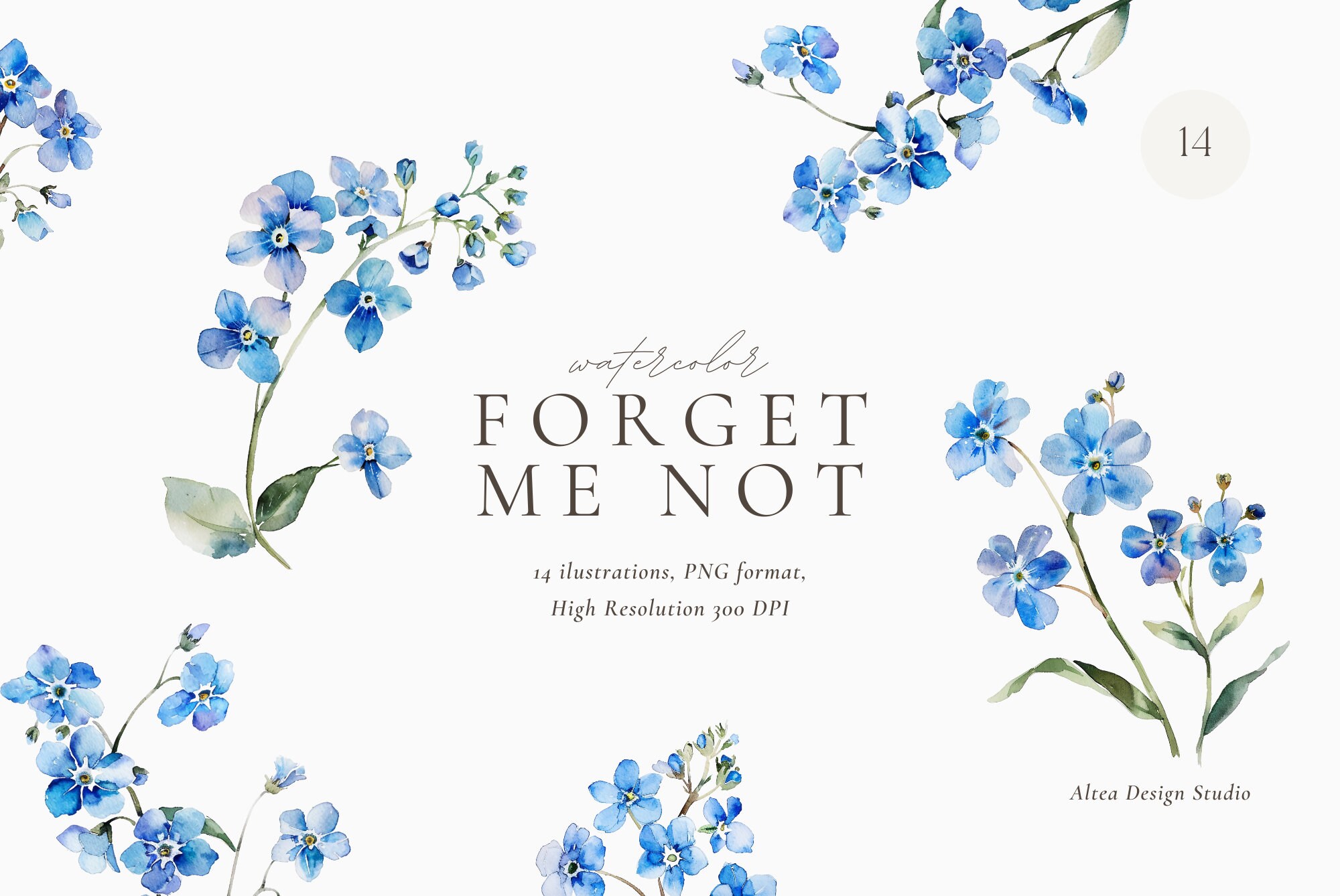 Forget Me Not Clipart, Watercolor Spring Flowers, Blue Floral Clipart