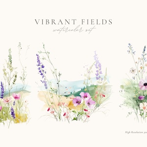 Clipart floral aquarelle, fleurs printemps été png, prairies de fleurs sauvages, prairie printanière, bordures florales, clipart mariage, fleurs printanières