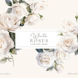 Imágenes prediseñadas de rosa blanca, imágenes prediseñadas de rosas de acuarela, ramos de flores de rosa blanca, imágenes prediseñadas de boda