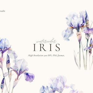 Aquarel iris clipart, lentebloemen clipart, aquarel bloemen clipart, bruiloft clipart, lente clipart, digitale PNG clipart
