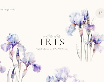 Watercolor Iris Clipart: Spring Floral PNG (Digital Download)