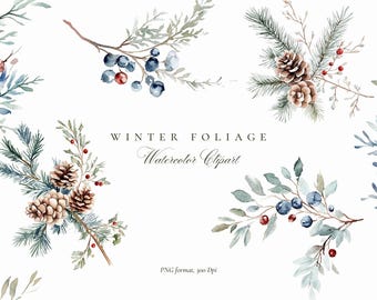 Winter Foliage Watercolor Clipart | Christmas Berries & Botanical Elements | Holiday PNG Set