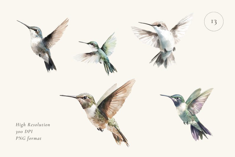 May include: Five watercolor illustrations of hummingbirds in various poses. The hummingbirds are painted in shades of blue, green, and brown. The background is a light beige.