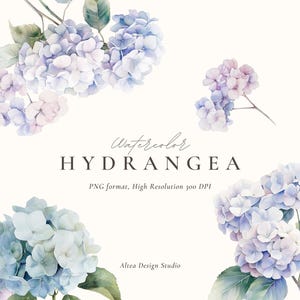 Clipart de hortênsia aquarela, clipart de flores da primavera, clipart de arranjos florais, clipart de casamento, hortênsia rosa, hortênsia azul