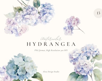 Watercolor Hydrangea Clipart: Floral Spring PNG (Digital Download)