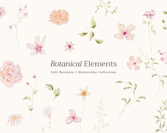 Pastel Watercolor Flower Clipart: Hand-Painted Florals (Digital Download, 300 DPI, PNG Files)