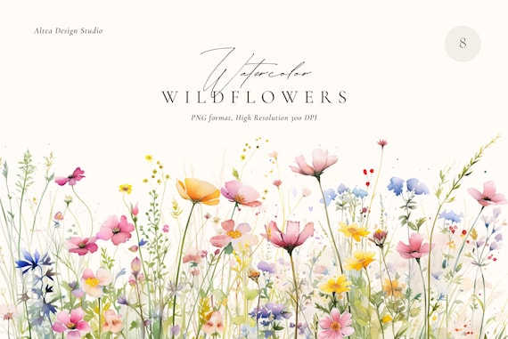 Watercolor Wildflower Clipart: Spring Floral Borders (Digital Download)