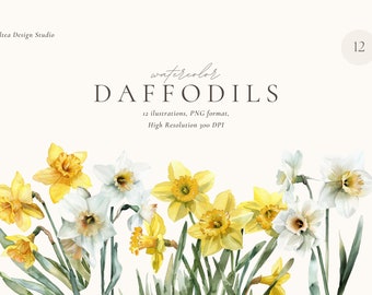 Daffodil Watercolor Clipart: Spring Flower Illustrations (Digital Download)