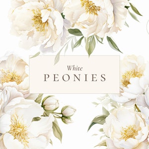 Aquarell Pfingstrosen Clipart, weiße Pfingstrose, Aquarell Pfingstrose Clipart, Hochzeitsstrauß, weiße Blumen Clipart, elegante Pfingstrose