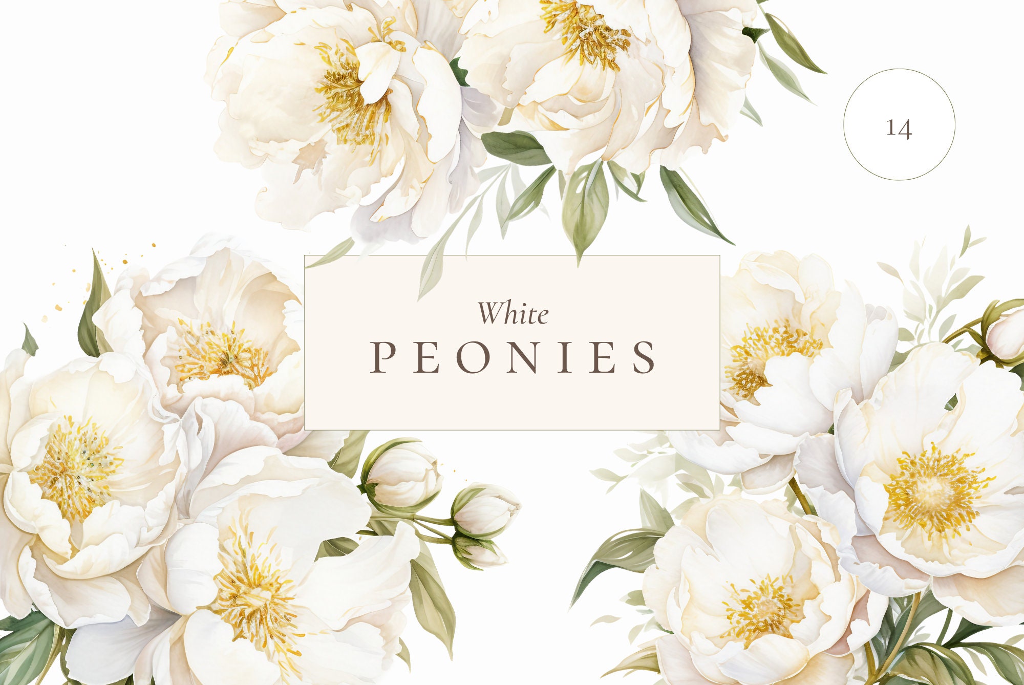 Watercolor Peonies Clipart, White Peony, Watercolor Peony Clipart, Wedding Bouquet, White Floral Clipart, Elegant Peony Wreath