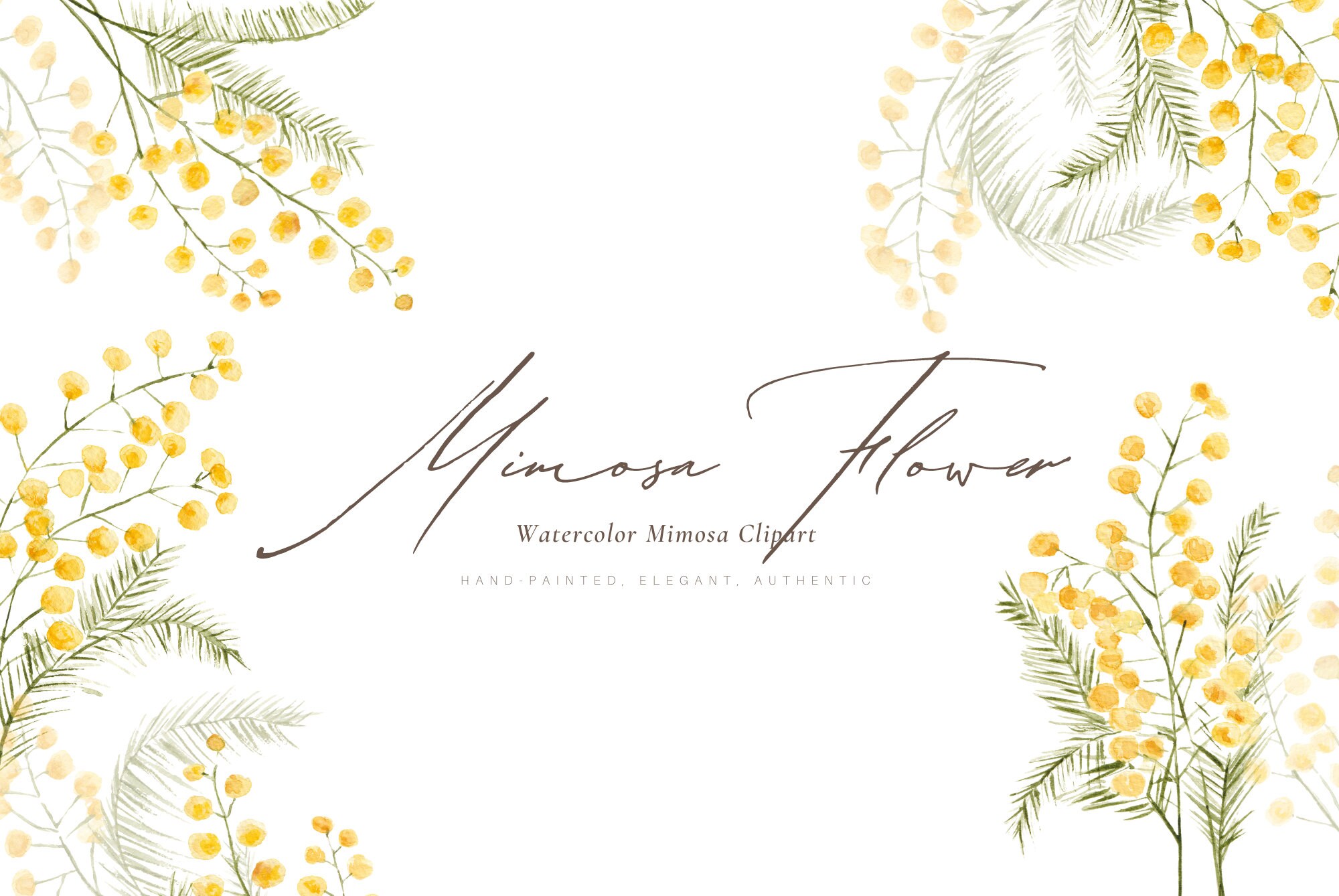 Mimosas Clipart Of Flowers