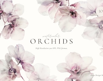 Watercolor Orchid Clipart: Transparent Floral Illustrations (Digital Download)