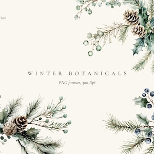 Clipart hiver aquarelle, botaniques d'hiver, clipart branche de pin, verdure pour cartes de Noël, clipart Noël, clipart floral hiver