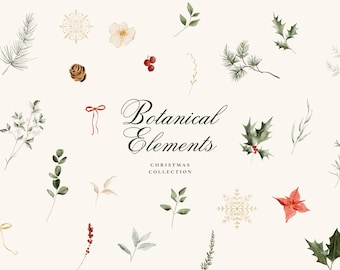 Watercolor Christmas Clipart: Winter Greenery Botanicals (PNG, 300 DPI)