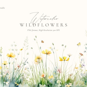 Clipart aquarelle printemps, aquarelle fleurs clipart, bordures florales de fleurs sauvages, fleurs des prés PNG, clipart prairie de printemps