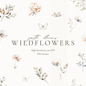 Aquarelle fleurs sauvages des cliparts, fleurs printanières, clipart fleurs pour faire-part de mariage, clipart mariage, fleurs aquarelles délicates
