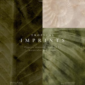 Könnte beinhalten: Ein Grafikdruck mit einer geteilten Komposition aus dunkelolivgrünen Blatttexturen und einem beigen Spiralmuschelmuster. Der Text lautet TROPICAL IMPRINTS (VOL II), Organic textures inspired by watercolor and nature, ORGANIC DETAILS & NATURAL FORMS und LAYERED WITH REAL WATERCOLORS.