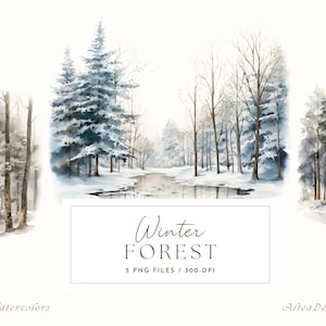 Clipart invernale ad acquerello, Clipart paesaggio forestale, Scenari invernali ad acquerello, Clipart foresta invernale, Foresta di pini, Foresta di neve PNG