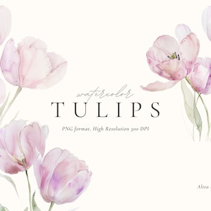 Clipart di tulipani dell'acquerello, clipart di tulipani, clipart di invito a nozze, clipart di fiori primaverili, clipart floreale dell'acquerello PNG, cornice prefabbricata