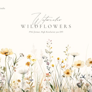 Clipart aquarelle automne, aquarelle fleurs clipart, bordures florales de fleurs sauvages, fleurs des prés PNG, clipart automne prairie