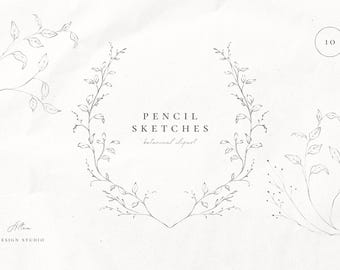 Floral Line Art Illustration: Botanical Pencil Sketch Clipart (PNG)