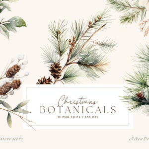 Aquarel winter clipart, winterbotanicals, dennentak clipart, groen voor kerstkaarten, kerst clipart, winter bloemen clipart
