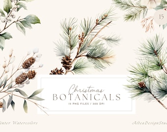 Watercolor Winter Clipart, Winter Botanicals, Pine Branch Clipart, Greenery for Christmas Cards, Christmas Clipart, Winter Floral Clipart