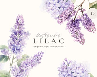 Watercolor Lilacs Clipart: Spring Floral Illustrations (Digital Download)