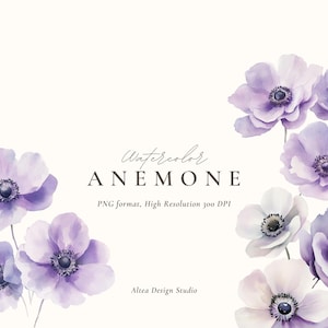 Clipart anémone aquarelle, clipart fleurs anémone, fleurs violettes, aquarelle fleurs, clipart fleurs d'été