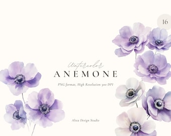 Watercolor Anemone Clipart: Purple Summer Flowers (Digital Download, 16 PNG Illustrations)