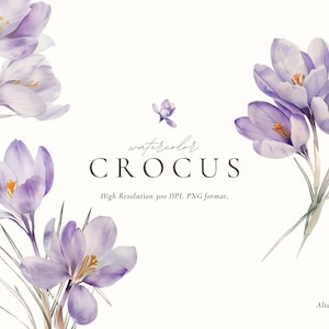 Peut inclure: Illustration aquarelle de crocus violets avec des centres jaunes. L'illustration est intitulée "watercolor crocus" et "Haute résolution 300 DPI, format PNG". Le numéro "10" se trouve dans le coin supérieur droit de l'image.