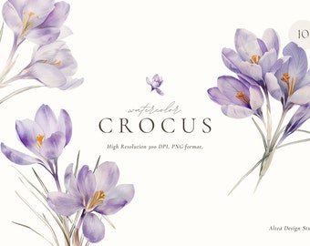 Watercolor Crocus Clipart: Spring Floral PNG (Digital Download)