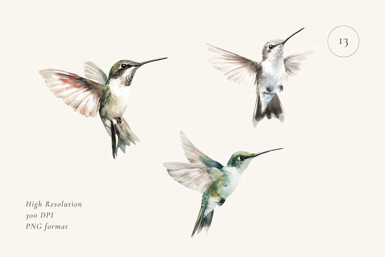 May include: Three watercolor illustrations of hummingbirds in flight. The hummingbirds are painted in shades of green, brown, and white. The background is a light beige.