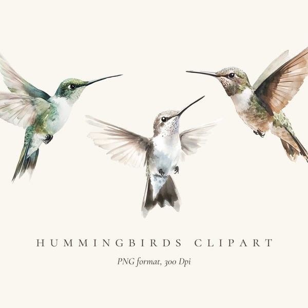 Watercolor Hummingbird Clipart: Bird PNG Illustrations (Digital Download)