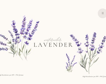Lavender Watercolor Clipart Set: Bouquets & Wreaths (PNG Digital Download)
