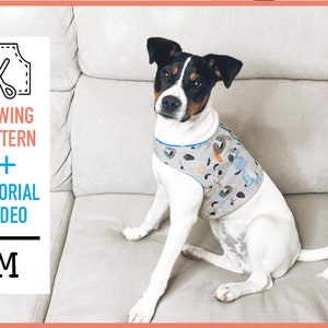 Muster für Hundegeschirr + VIDEO-ANLEITUNG, PDF-Schnittmuster (Größe M), Muster für Hundegeschirr, Hundekleidung, Schnittmuster, DIY