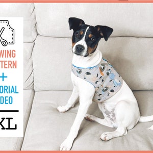Dog harness Pattern + TUTORIAL VIDEO, pdf Sewing Pattern (Size XL), dog harness pattern, dog clothes, sewing pattern, diy