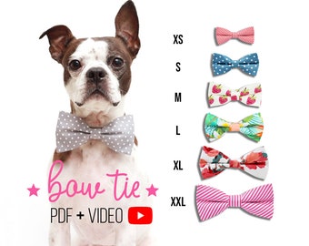 Dog  Bow Tie PDF + Tutorial Video - x6 sizes - Cat - pdf