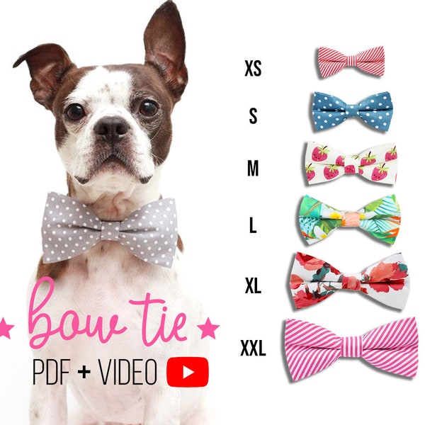 Dog  Bow Tie PDF + Tutorial Video - x6 sizes - Cat - pdf