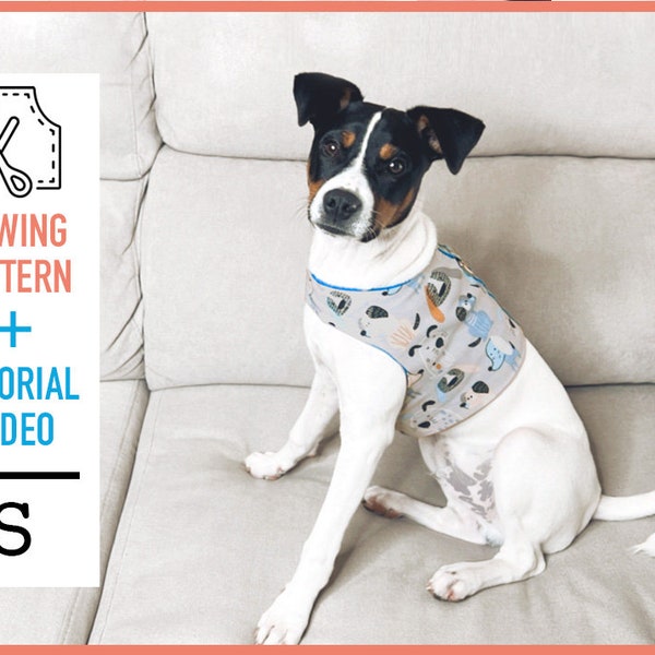 Dog harness Pattern + TUTORIAL VIDEO, pdf Sewing Pattern (Size S), dog harness pattern, dog clothes, sewing pattern, diy