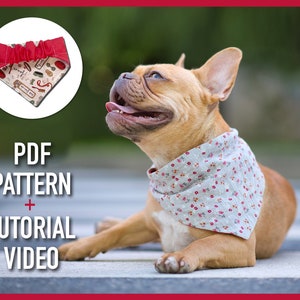 Dog bandana pattern