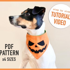 Puede incluir: Un perro blanco y negro con un pañuelo naranja y negro con forma de calabaza. El pañuelo tiene una cara negra cosida con un tallo verde. El texto "PDF PATTERN x4 SIZES" está en la esquina inferior izquierda de la imagen. El texto "step by step TUTORIAL VIDEO" está en un círculo blanco en la esquina superior derecha de la imagen.