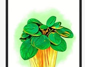 Chinese money plant illustrations plant art Wall decor