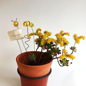 Puede incluir: Una maceta de terracota con una planta suculenta floreciente y estacas decorativas de jardín con forma de abeja. Las estacas incluyen un letrero que dice "Marjoram". La planta tiene hojas verdes y flores amarillas brillantes, sobre un fondo blanco.