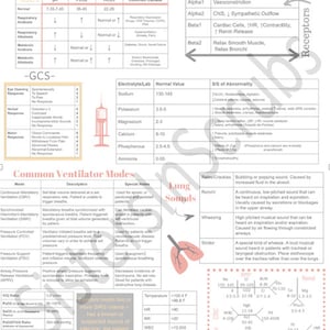ICU Nursing Nursing Cheat Sheet Nursing School Nurse Gift Digital