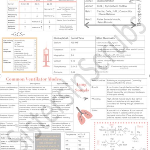 ICU Nursing Nursing Cheat Sheet Nursing School Nurse - Etsy