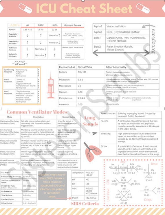 ICU Nursing Nursing Cheat Sheet Nursing School Nurse - Etsy